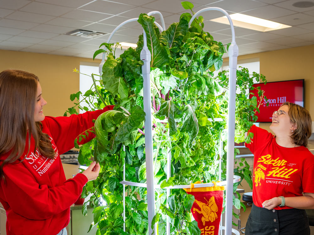 Growing healthy food in dietetics lab