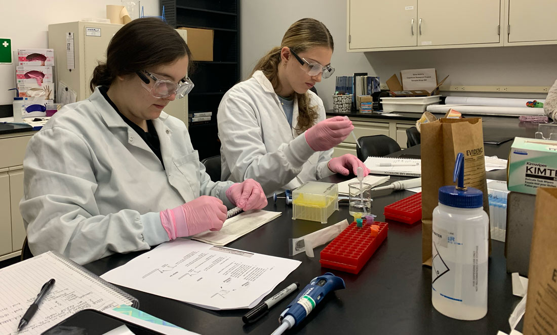 Forensic Science students performing an Enzyme-Linked ImmunoAssay (ELISA) Test