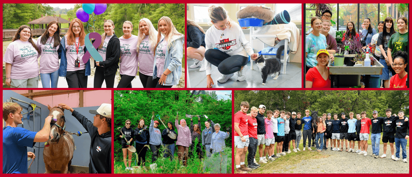 Collage of photos from Labor of Love 2025