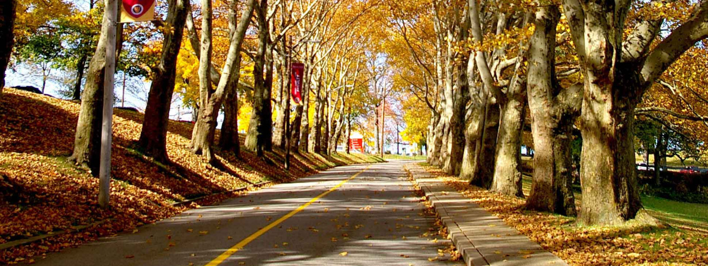 Seton Hill Recognizes Students on Fall 2021 Dean's List